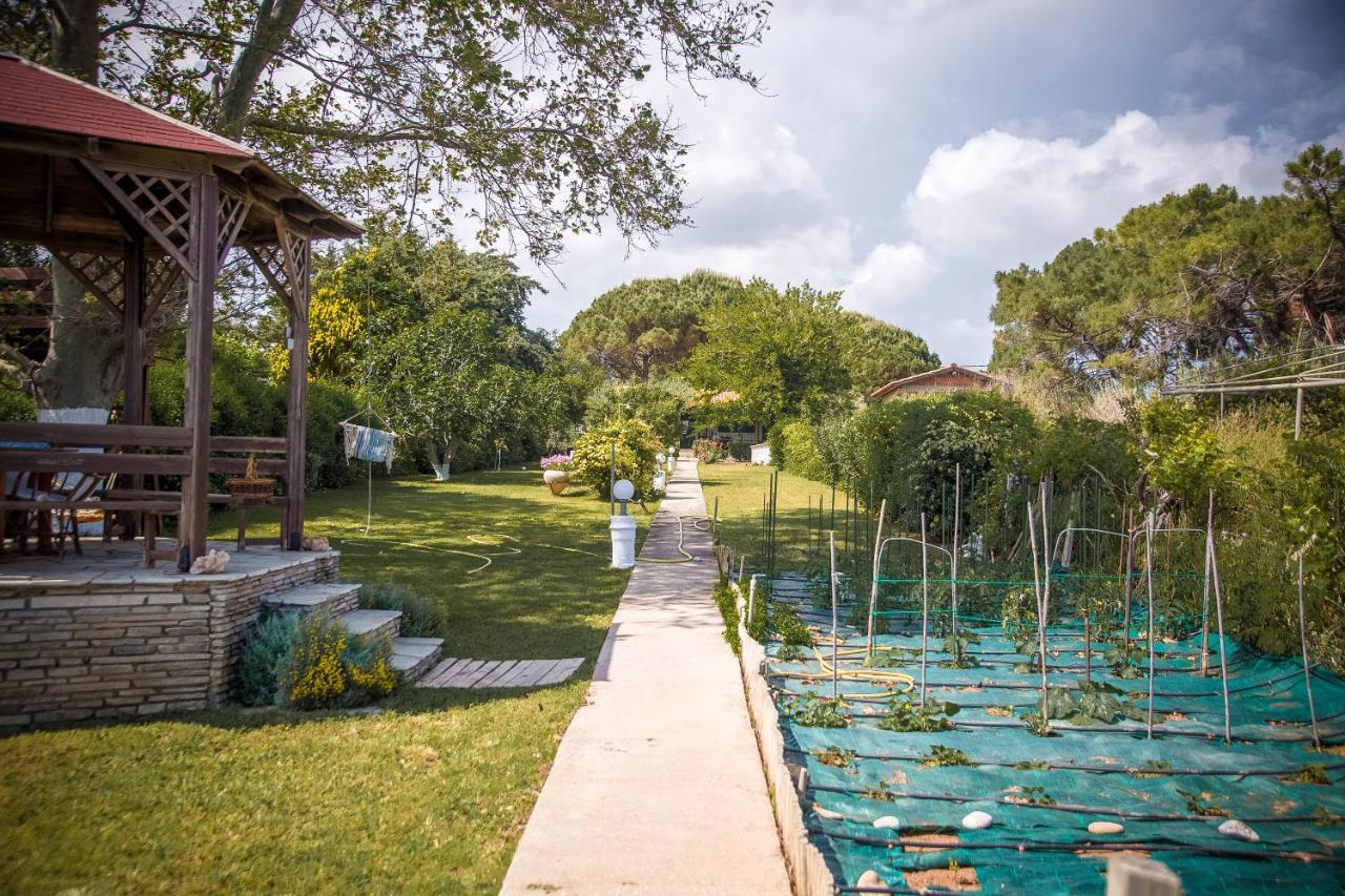 Villa Estate Irene à Alexandroúpoli Extérieur photo