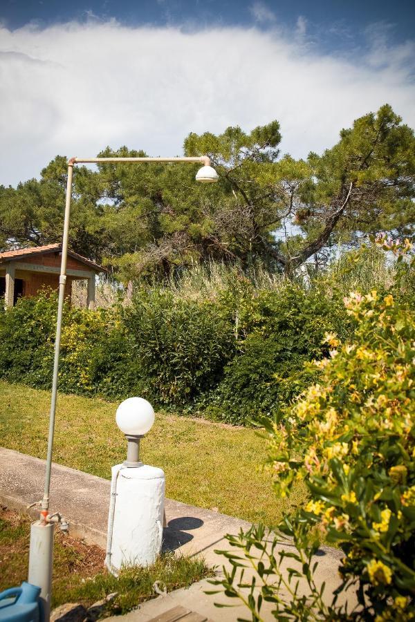 Villa Estate Irene à Alexandroúpoli Extérieur photo